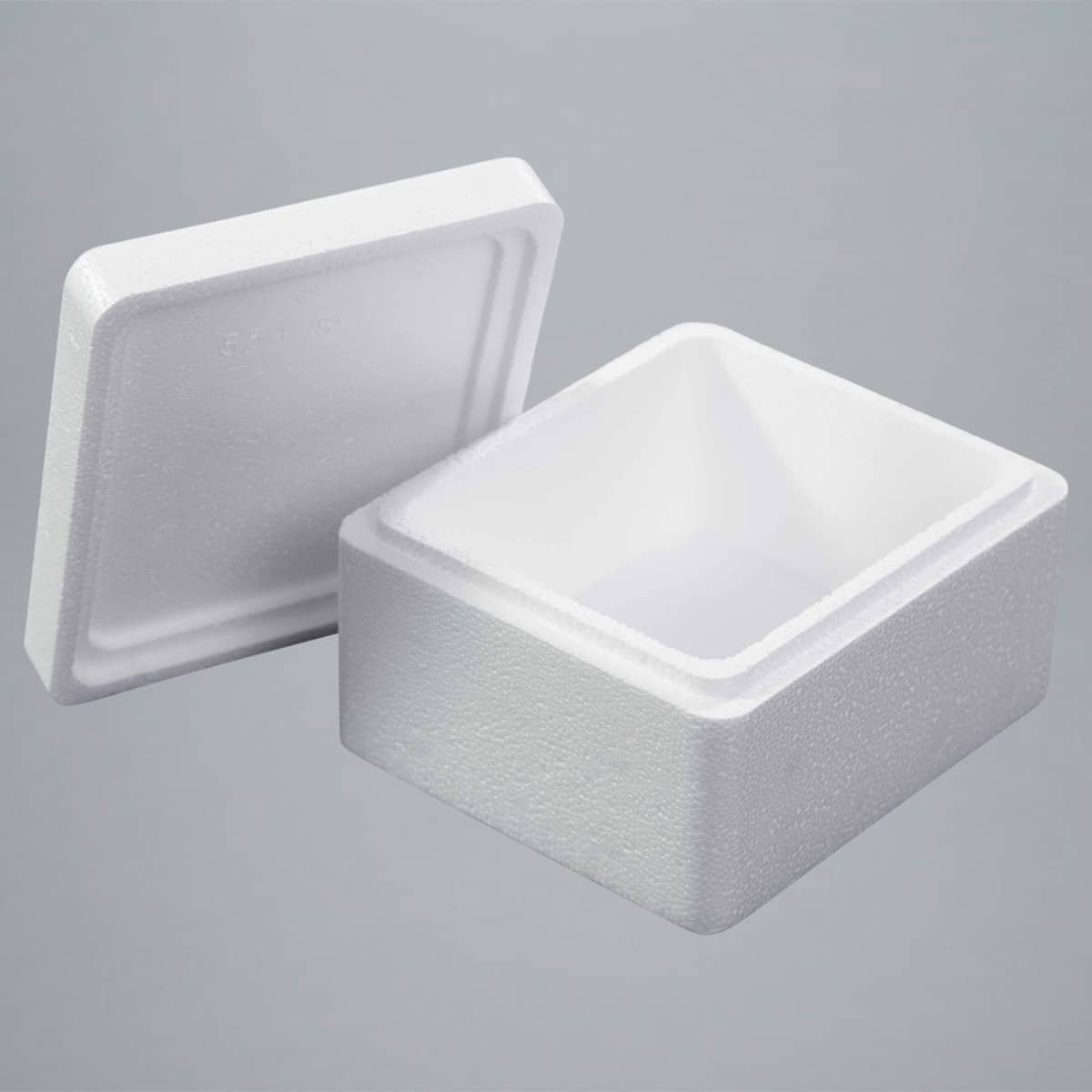 EPS-Box 0,7l