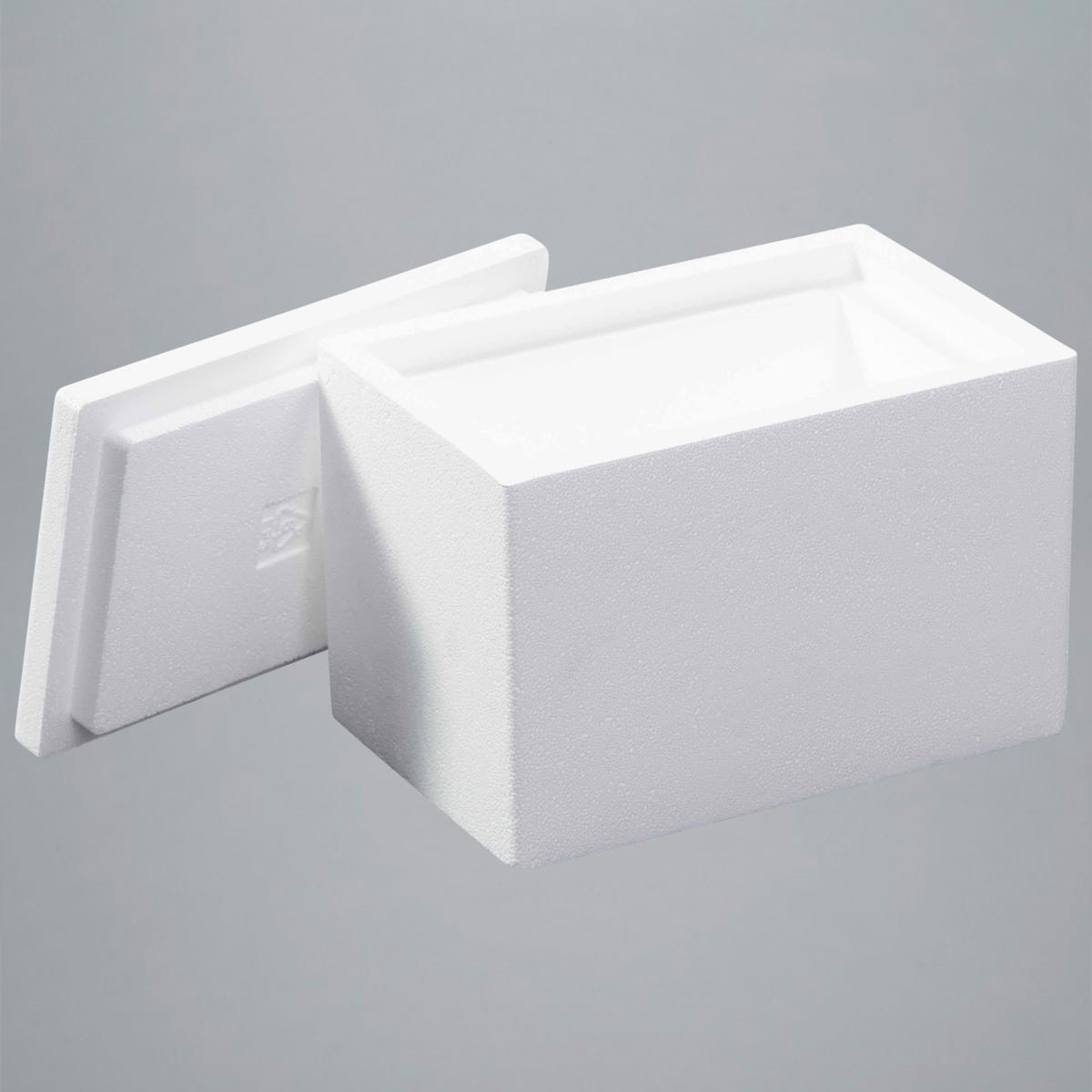 EPS-Box 3,1 l