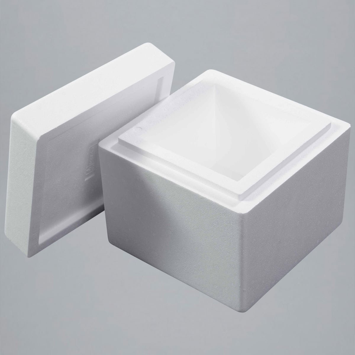 EPS-Box 4,6 l