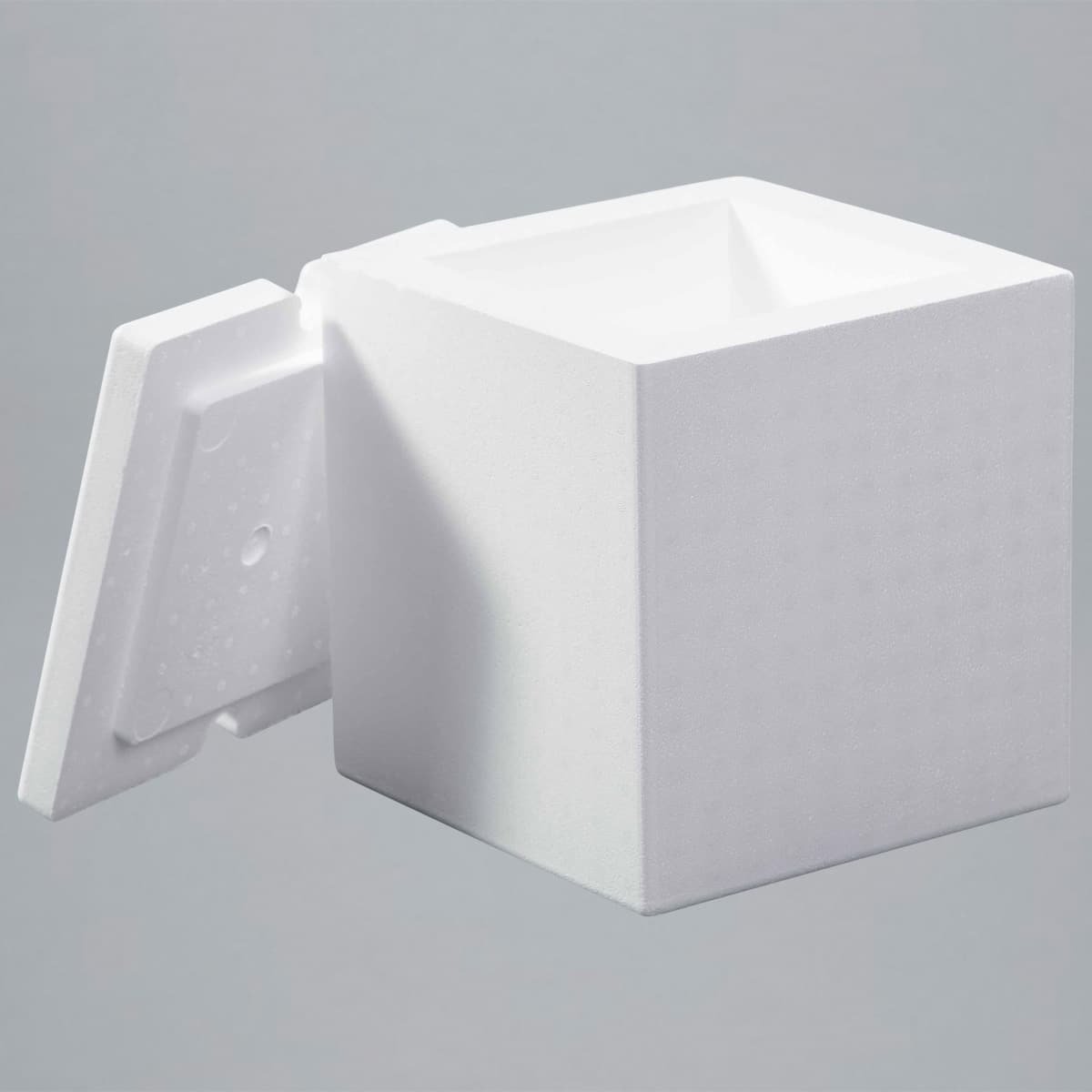 EPS-Box 10,1l