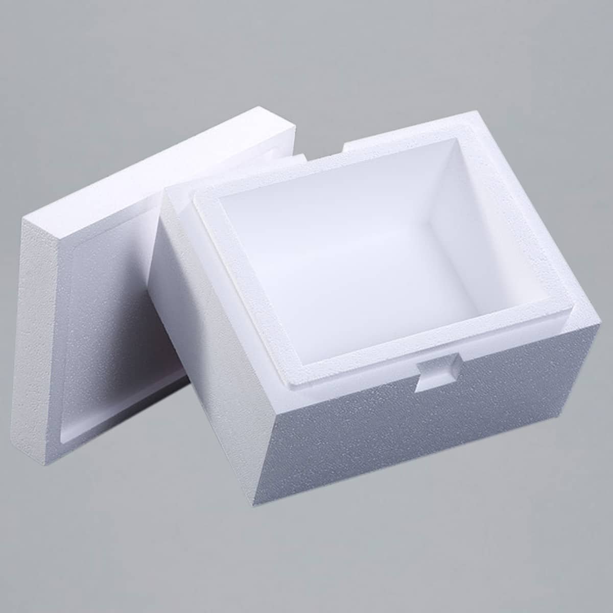 EPS-Box 5,9l