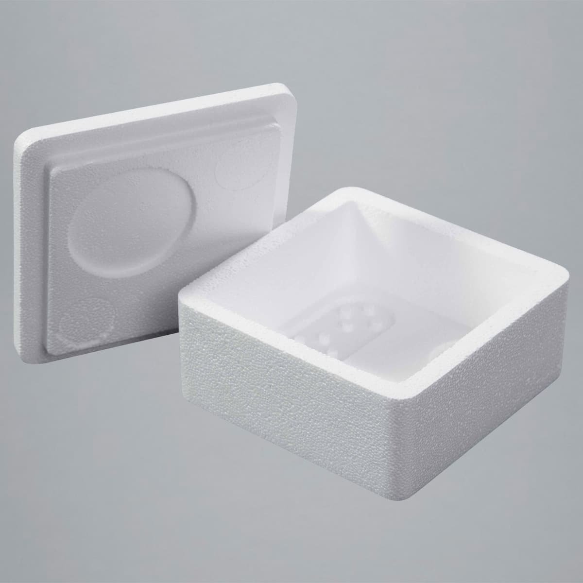EPS-Box 0,6l