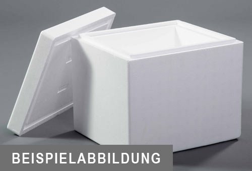EPS-Box 2,0 l