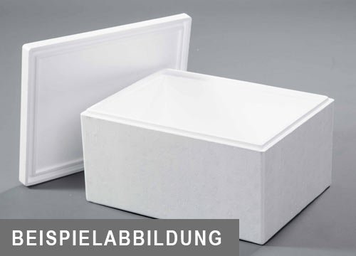 EPS-Box 27,5 l